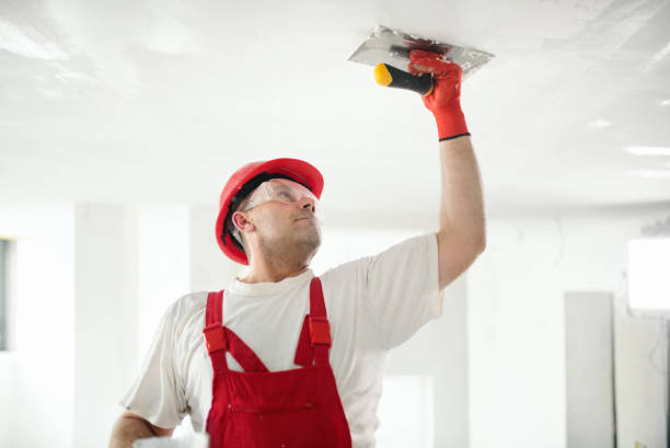 Best Ceiling Drywall Installation  in Del Rey, CA